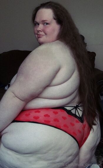miss_curvycat