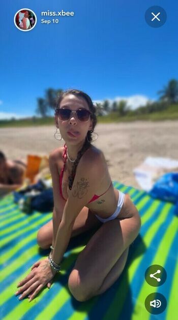 miss.xbee