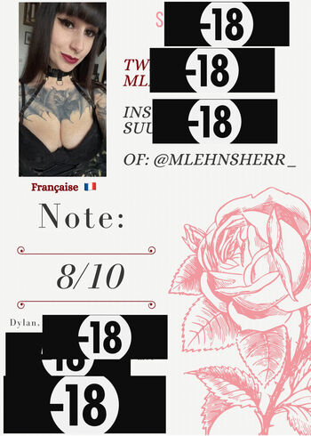 mlehnsherr_