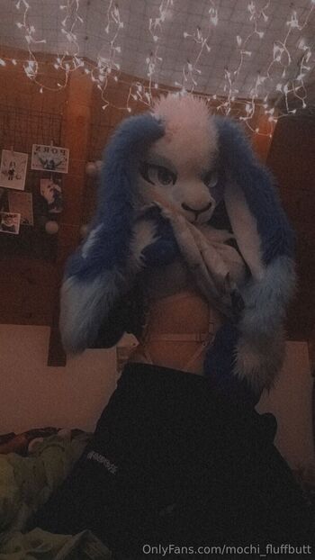mochi_fluffbutt