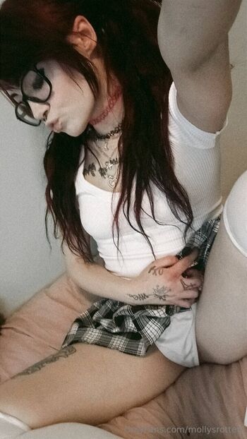 mollysrotten