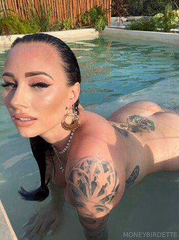moneybirdettevip