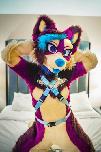 Murrsuit