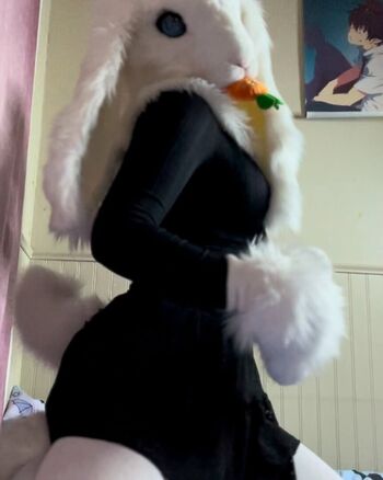 Murrsuit