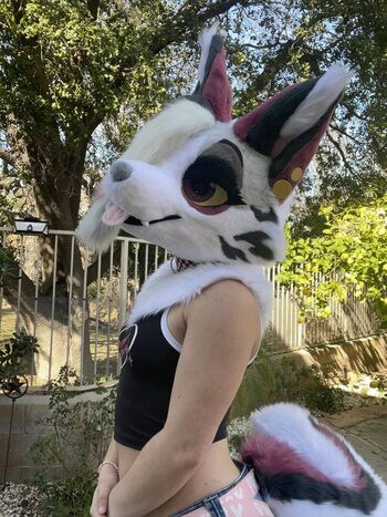 Murrsuit