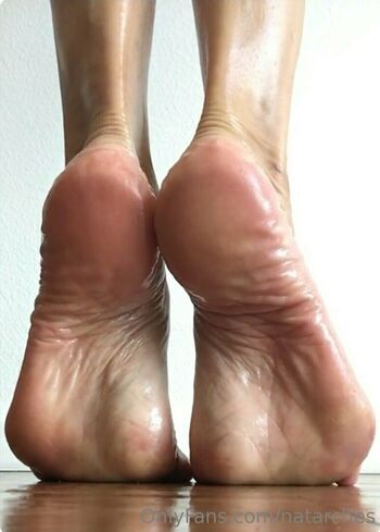 natarches