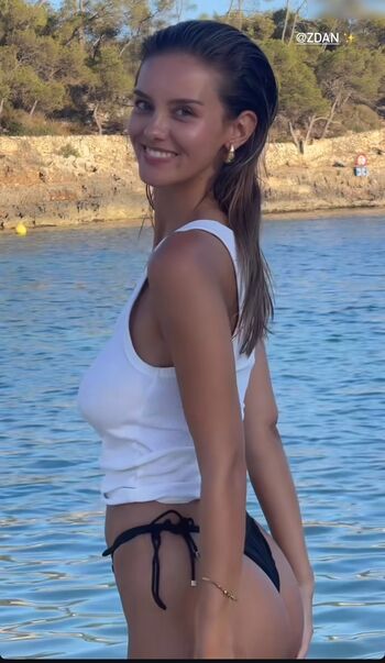 Nicola Cavanis