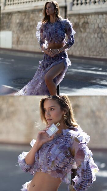 Nicola Cavanis