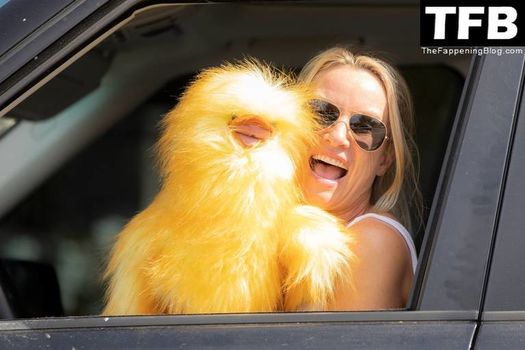 Nicollette Sheridan