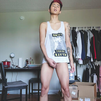 nolan_knox