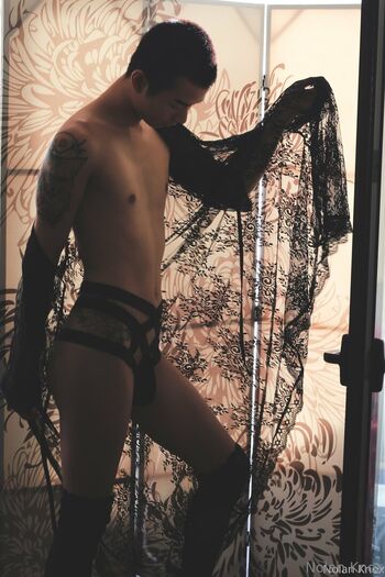 nolan_knox