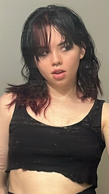 Notebookpapr