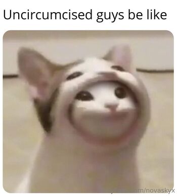 novaskyx