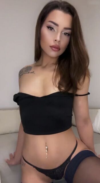 Perra Calor