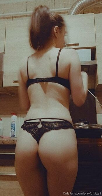 playfulkitty1