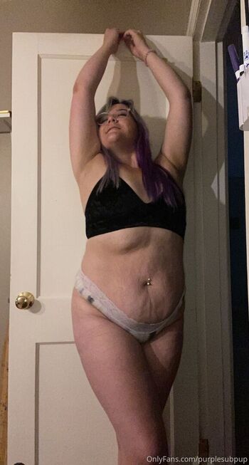 purplesubpup