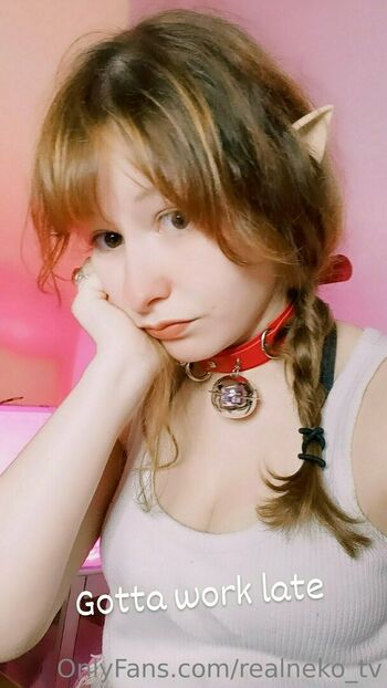 realneko_tv