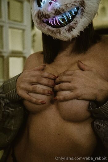 rebe.rabbit