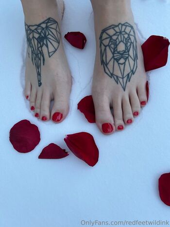 redfeetwildink