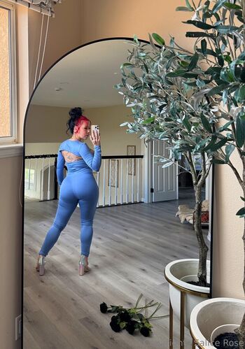 salicerose