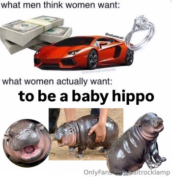 saltrocklamp