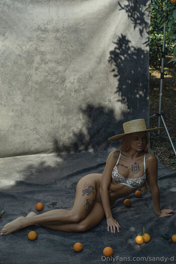 sandy_d