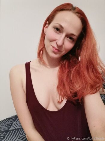 secretnikita