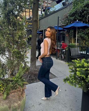 Shabreen Meerasafeer