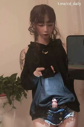 shiliuyelei