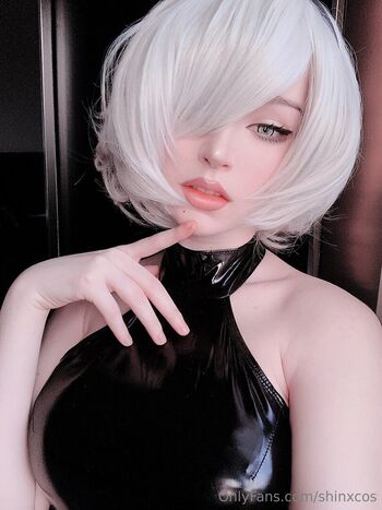 shinxcos