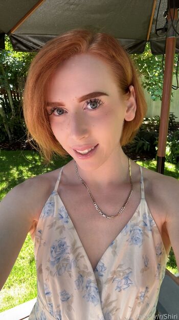 shiriallwood