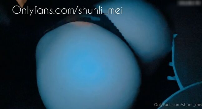 Shunlimei
