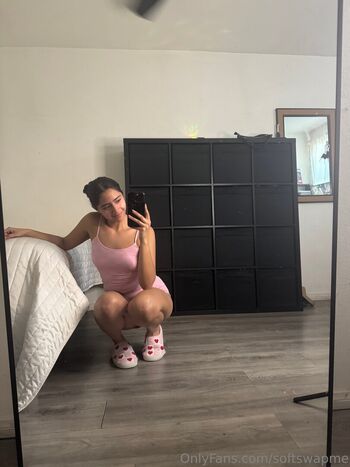softswapme