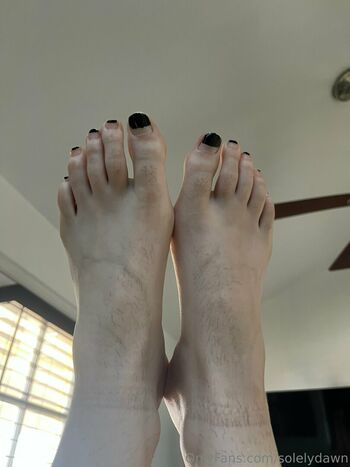 solelydawn