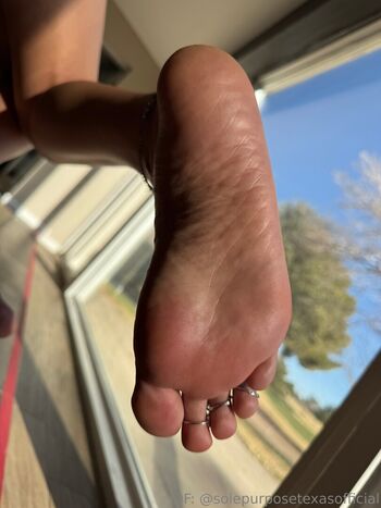 solepurposetexasofficial