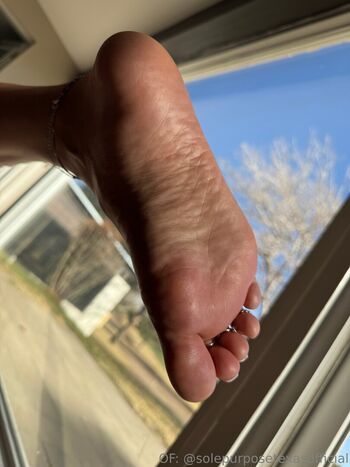 solepurposetexasofficial