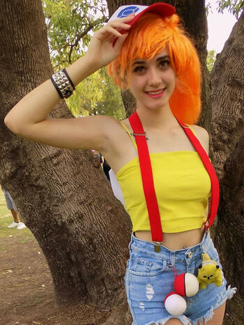 Sollchiss