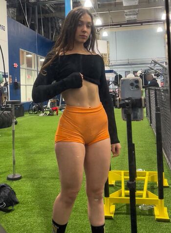 Sophiazipay