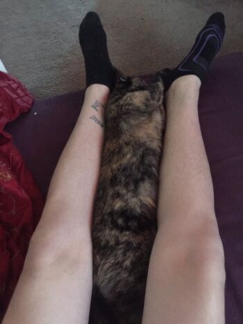 Sophie Ladder