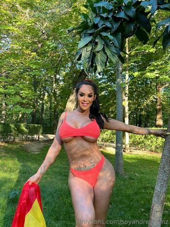 soyandrearamz