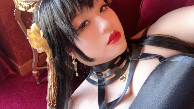 stel.hua