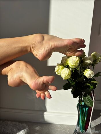 Swanfeet