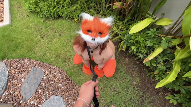 Sweetie Fox