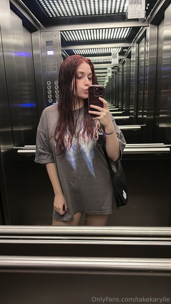 takekarylle