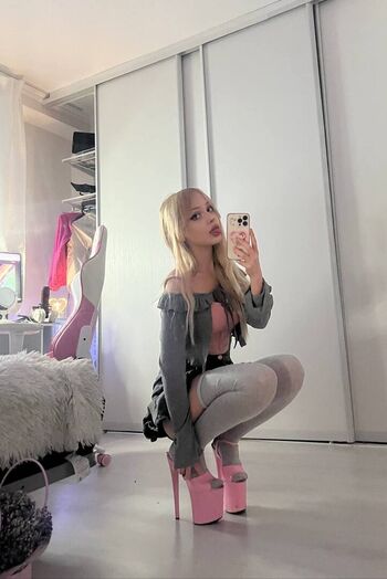 Taybisox