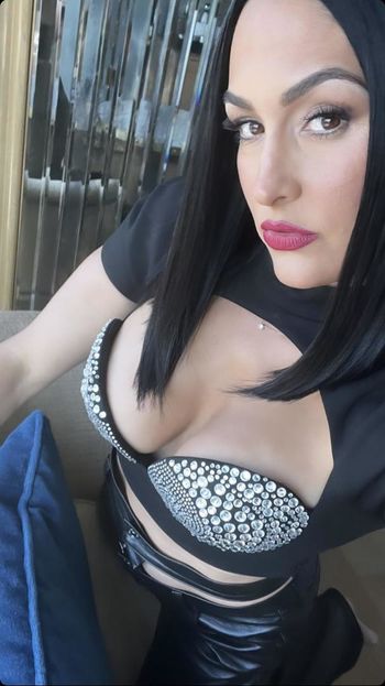The Bella Twins