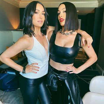 The Bella Twins