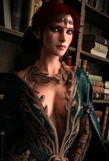 The Witcher