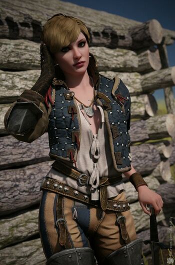 The Witcher