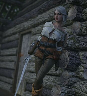 The Witcher